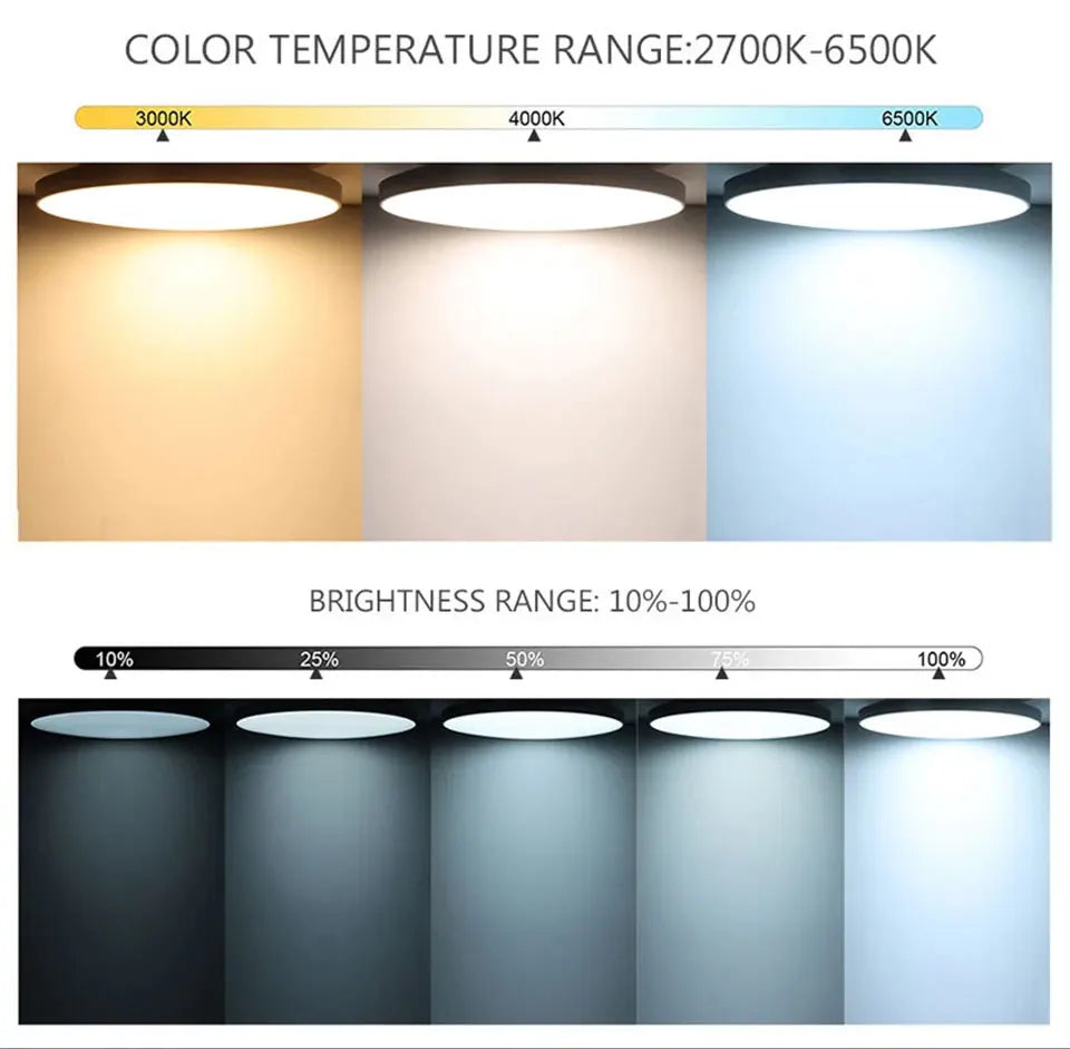 Ceiling Light Fixtures