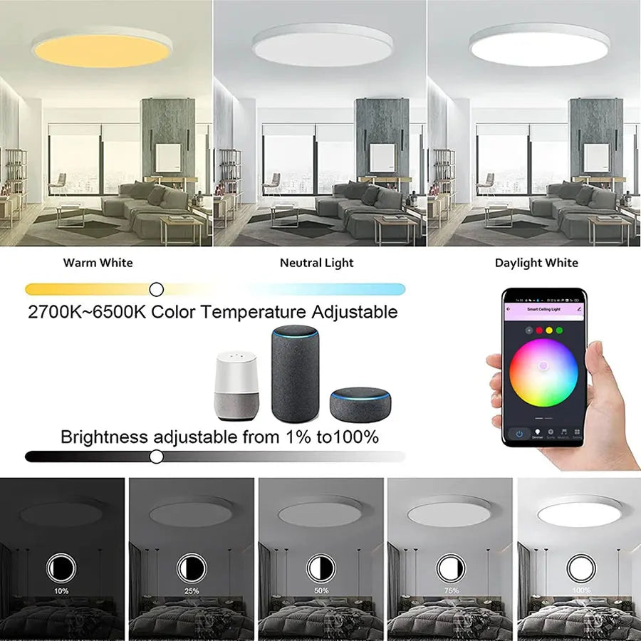 Ceiling Light Fixtures