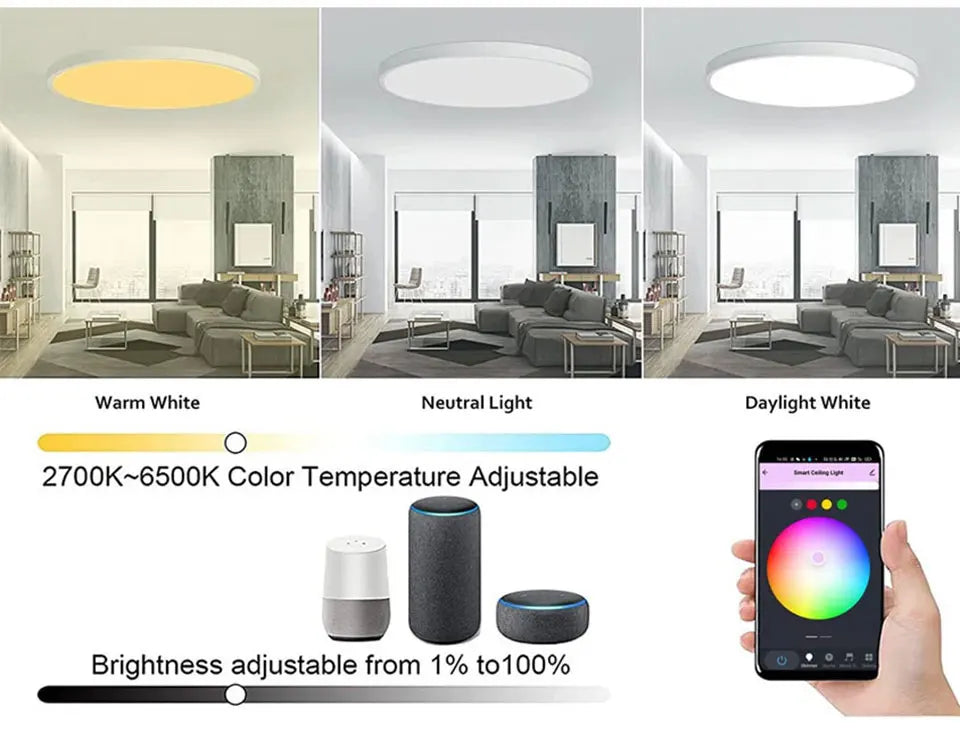 Ceiling Light Fixtures