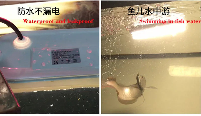 Modern LED Oval Wall Lamp – 16W/20W