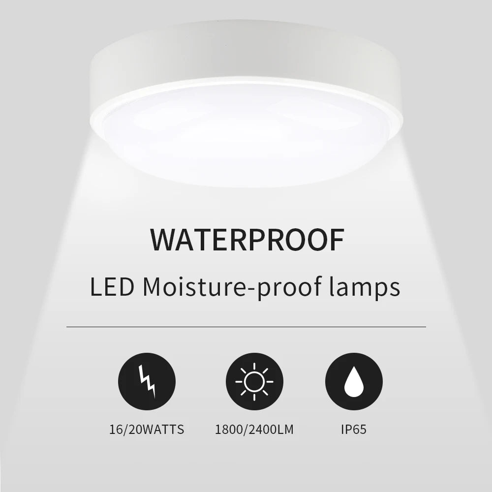 Modern LED Oval Wall Lamp – 16W/20W