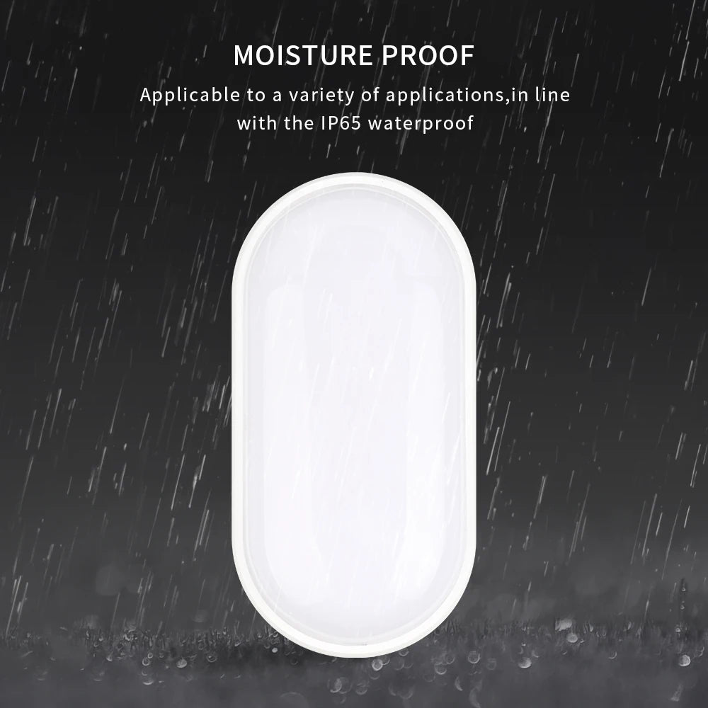 Modern LED Oval Wall Lamp – 16W/20W