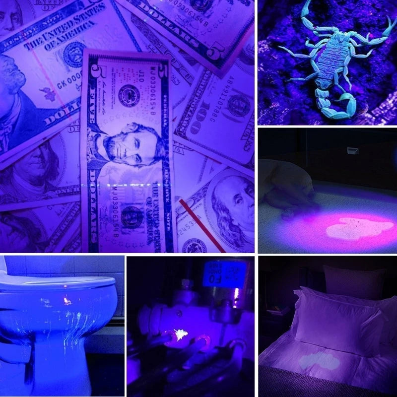 395nm UV Blacklight Flashlight