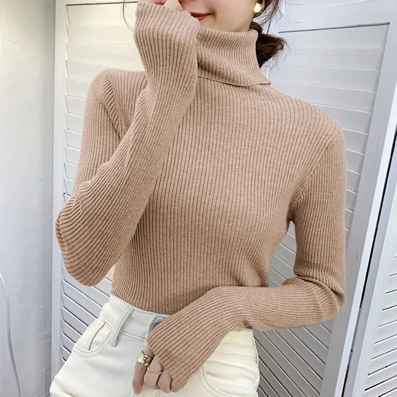 Women’s Fall Turtleneck Sweater