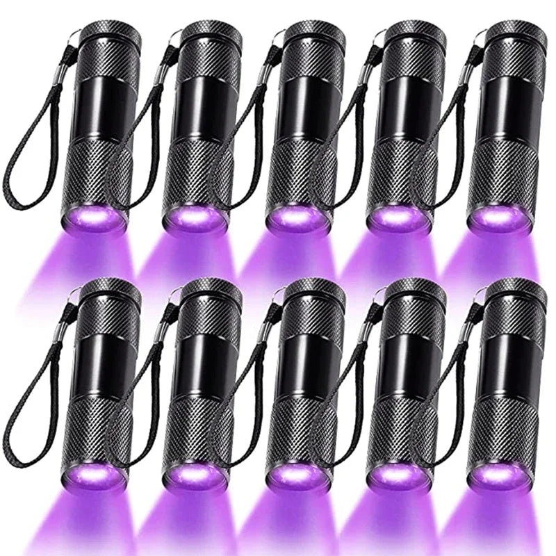 395nm UV Blacklight Flashlight