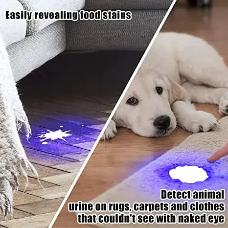 395nm UV Blacklight Flashlight