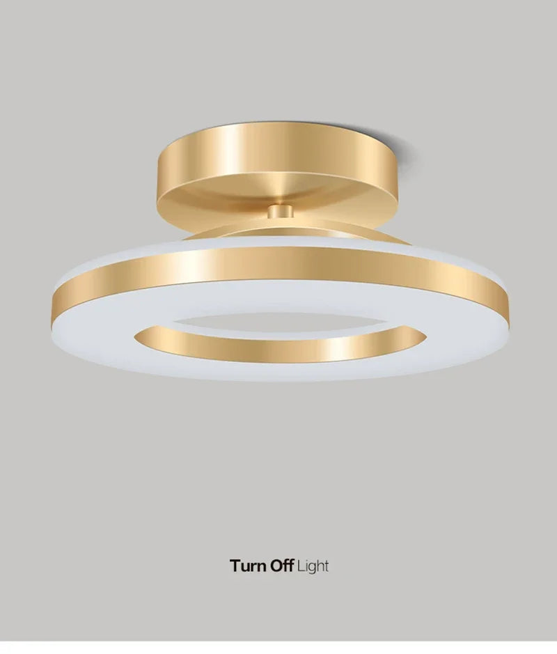 Modern LED Ceiling Lamp