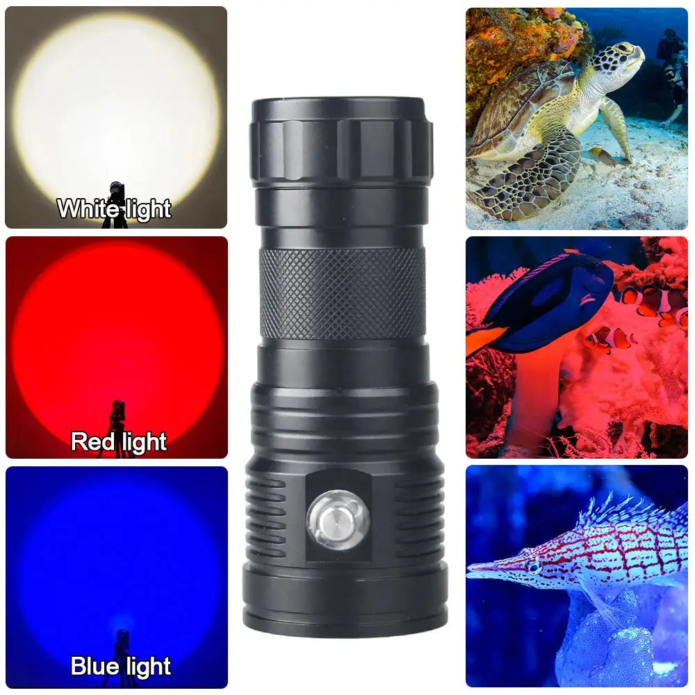 80W Underwater Dive Light