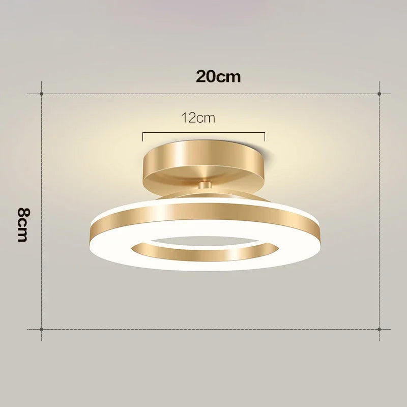 Modern LED Ceiling Lamp
