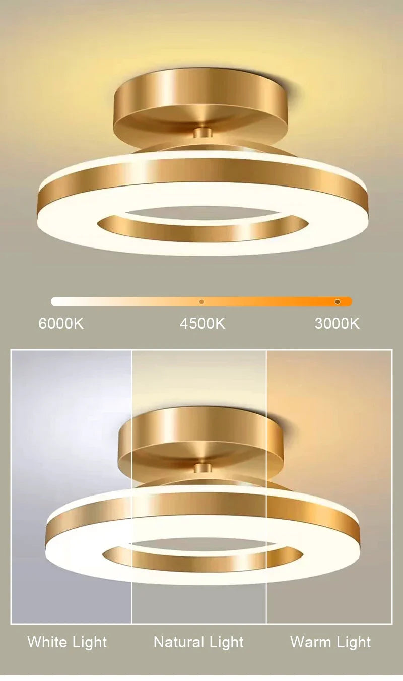 Modern LED Ceiling Lamp