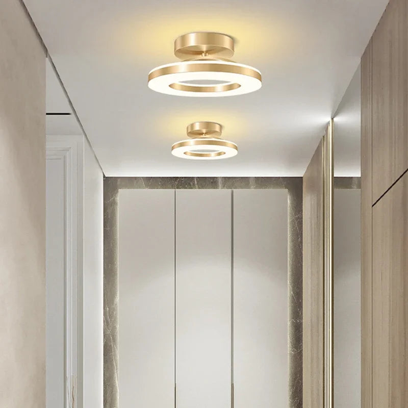 Modern LED Ceiling Lamp