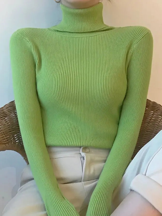 Women’s Fall Turtleneck Sweater