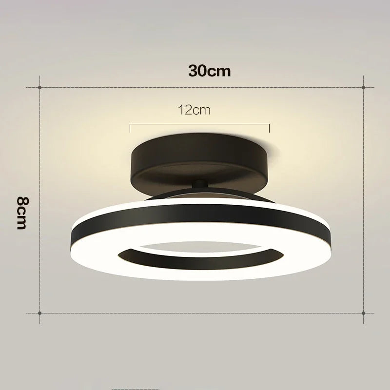 Modern LED Ceiling Lamp