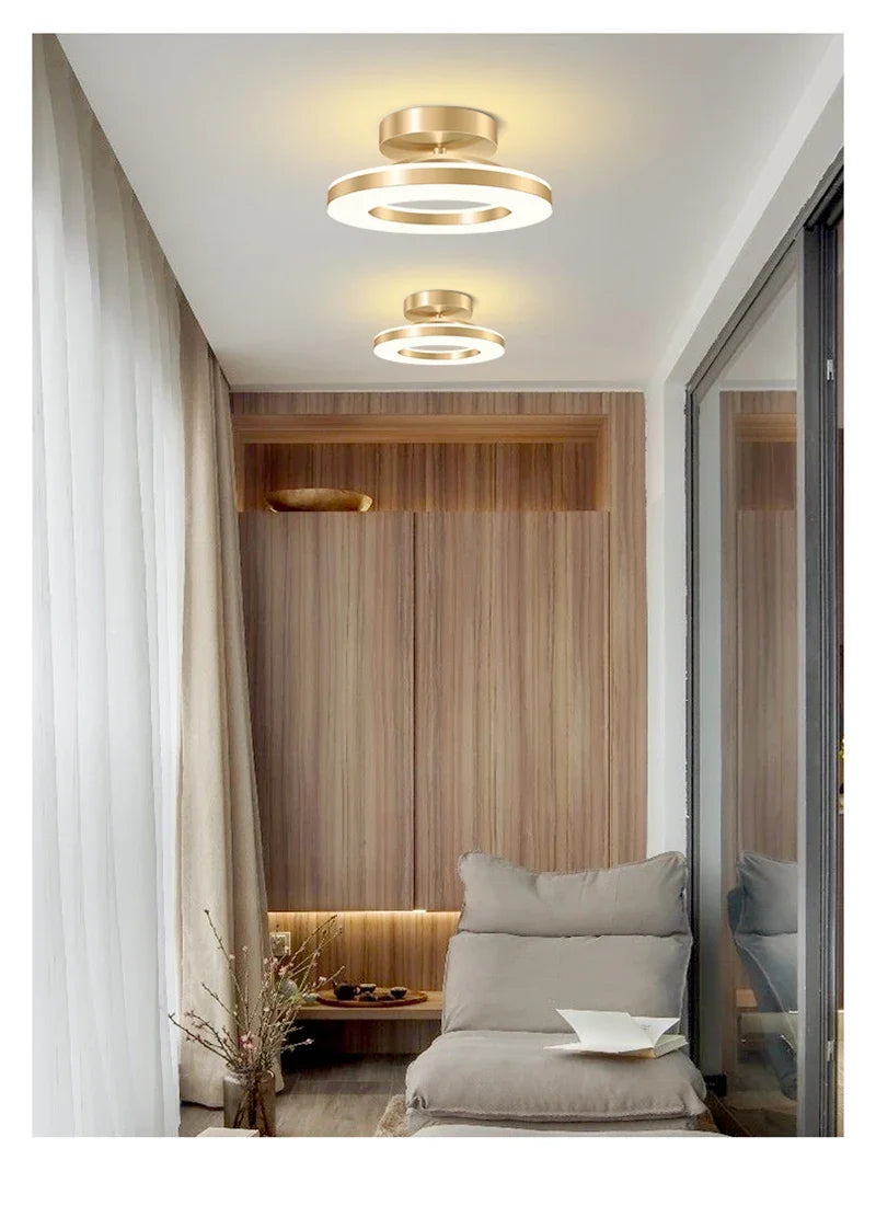 Modern LED Ceiling Lamp