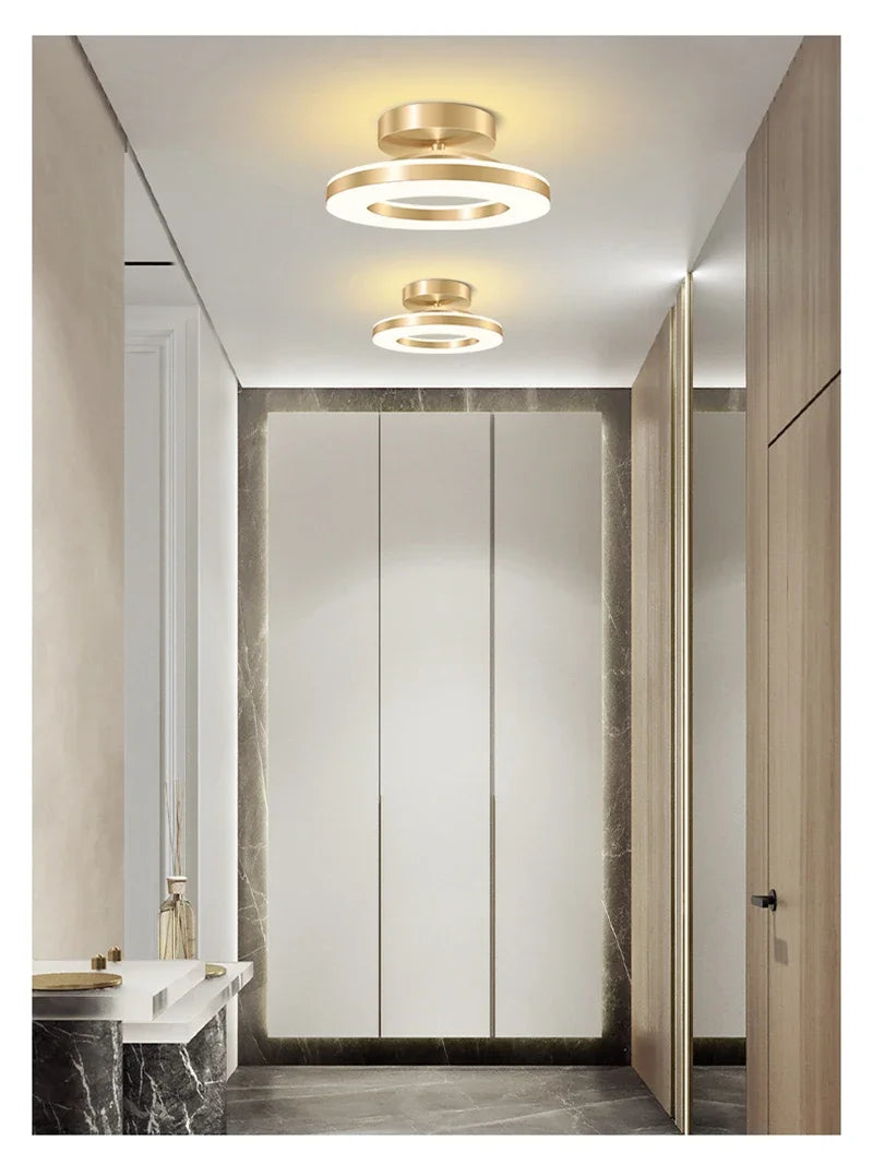Modern LED Ceiling Lamp