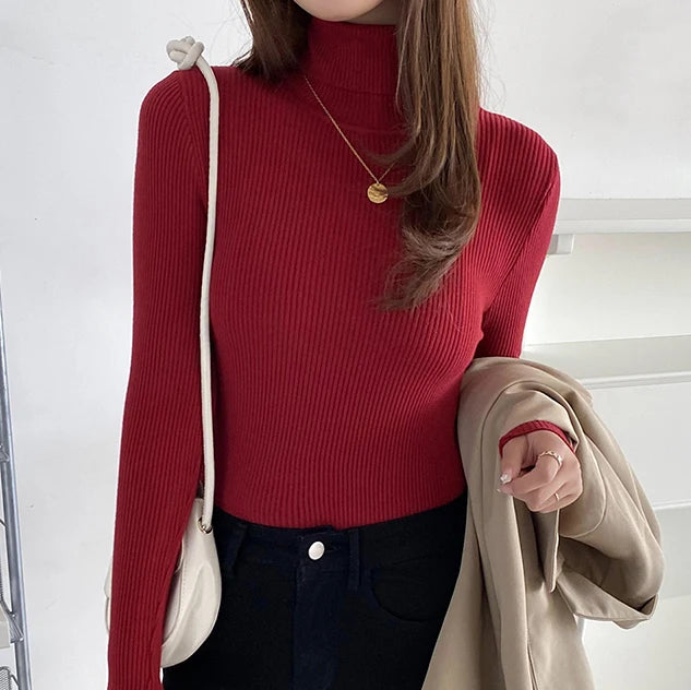 Women’s Fall Turtleneck Sweater