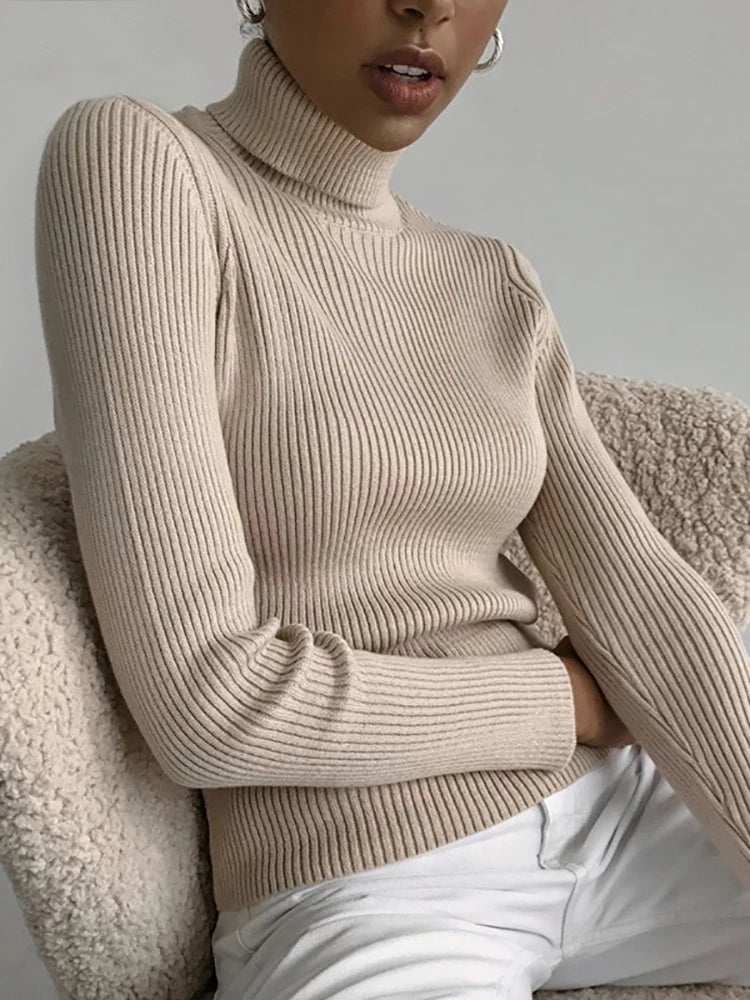 Women’s Fall Turtleneck Sweater