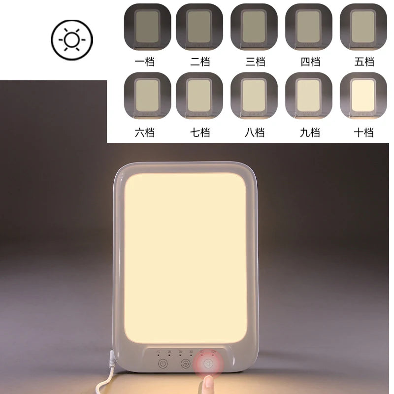 LED Light Therapy Lamp