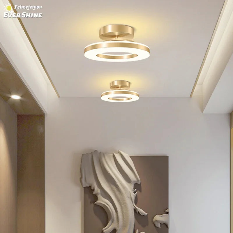 Modern LED Ceiling Lamp