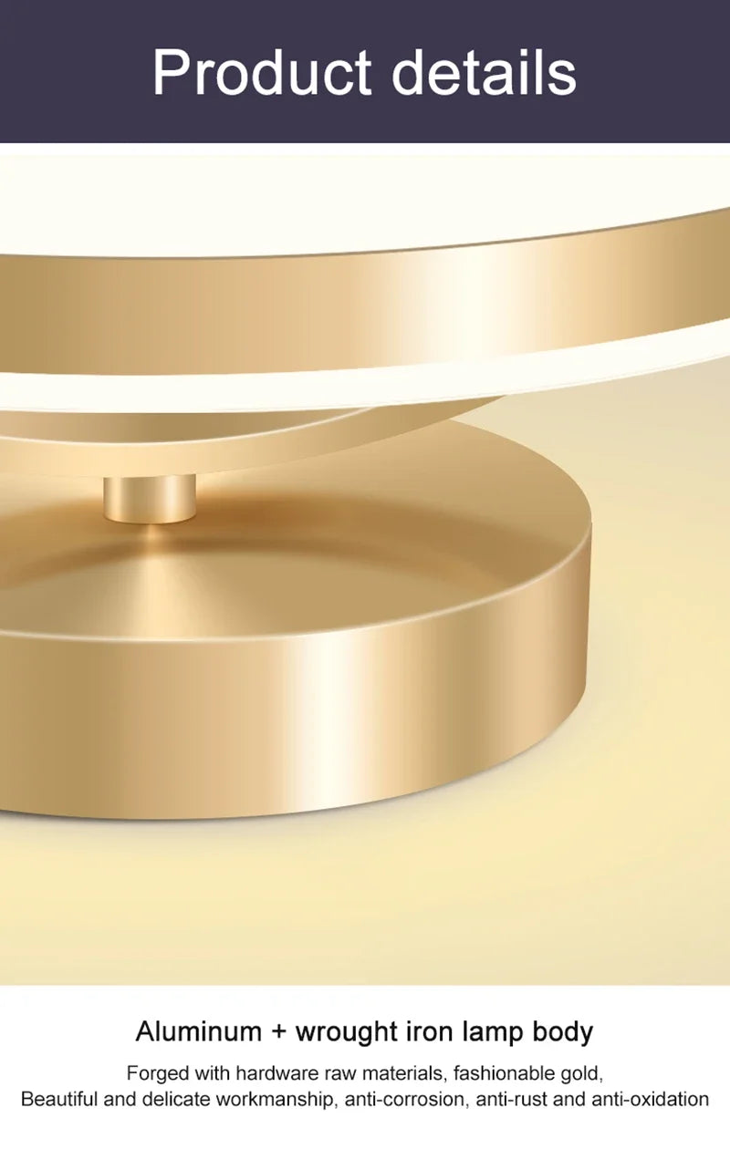 Modern LED Ceiling Lamp