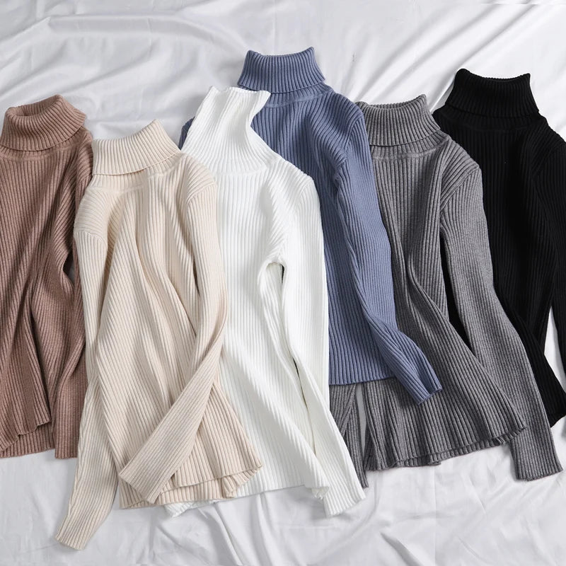 Women’s Fall Turtleneck Sweater