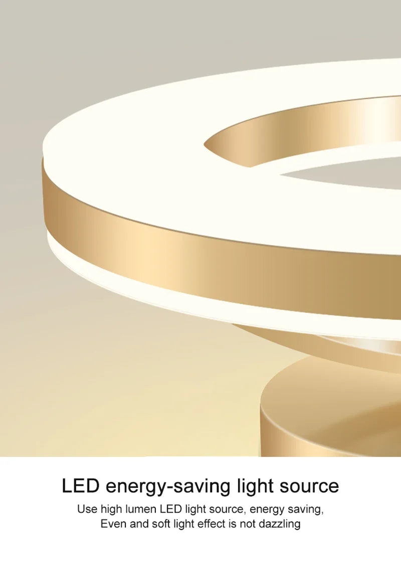 Modern LED Ceiling Lamp
