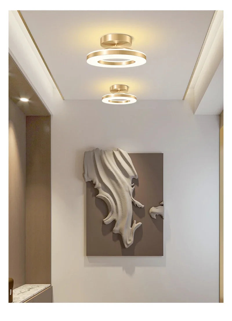 Modern LED Ceiling Lamp