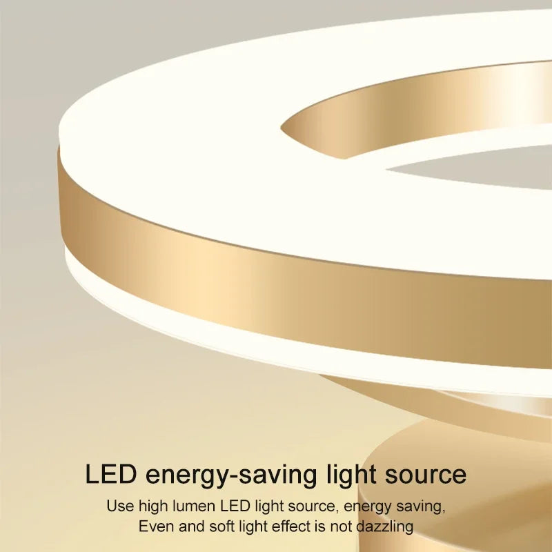 Modern LED Ceiling Lamp
