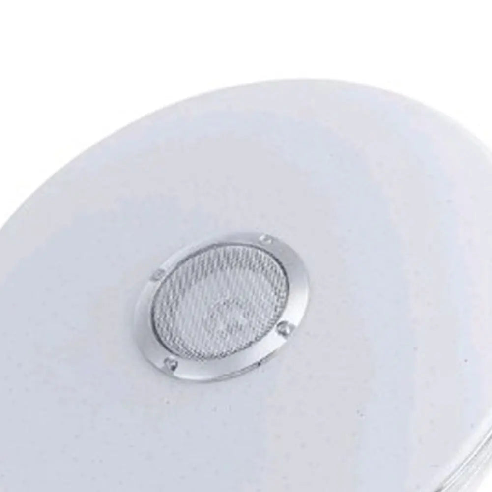 LED Ceiling Light Smart Bluetooth Speaker
