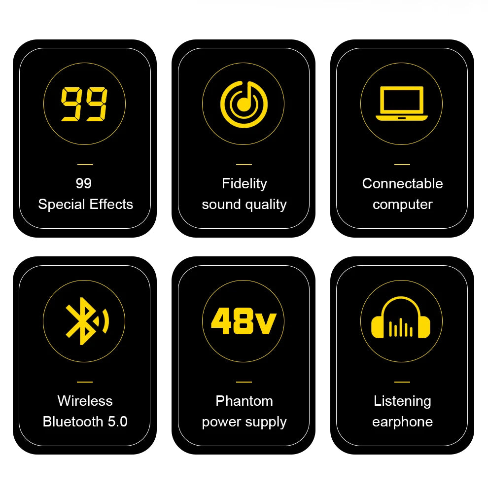 Bluetooth Karaoke Mixer