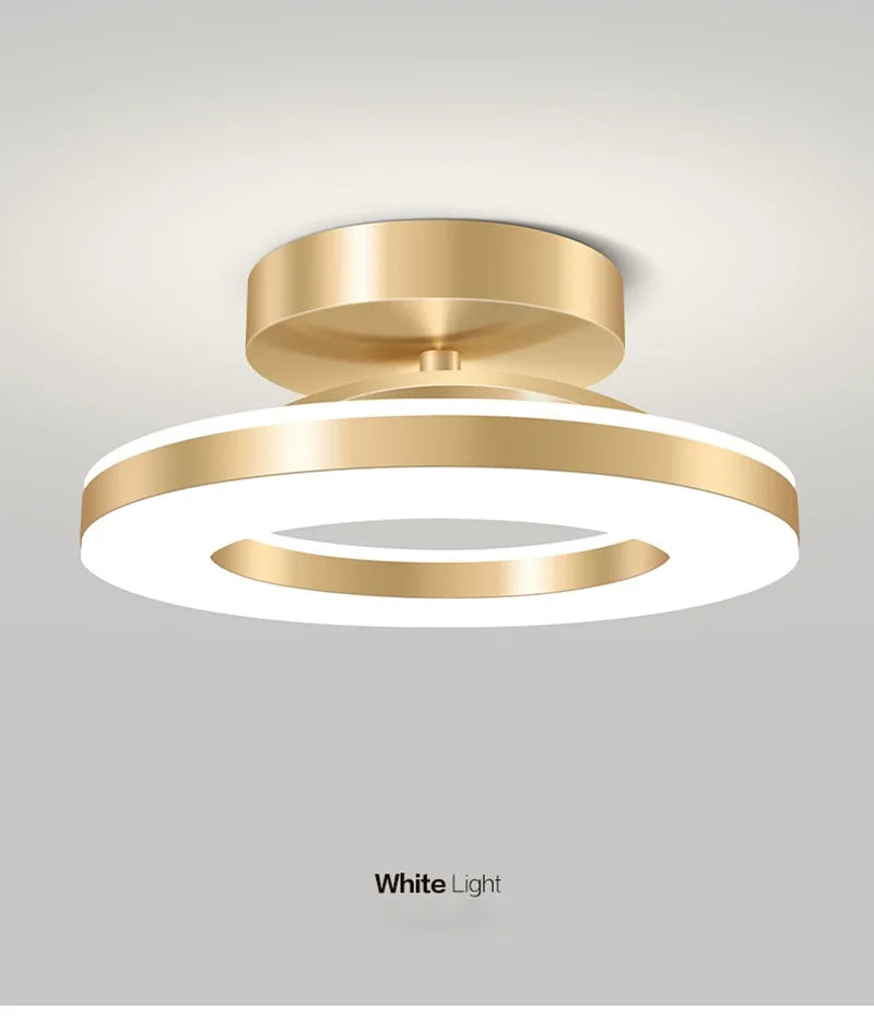 Modern LED Ceiling Lamp