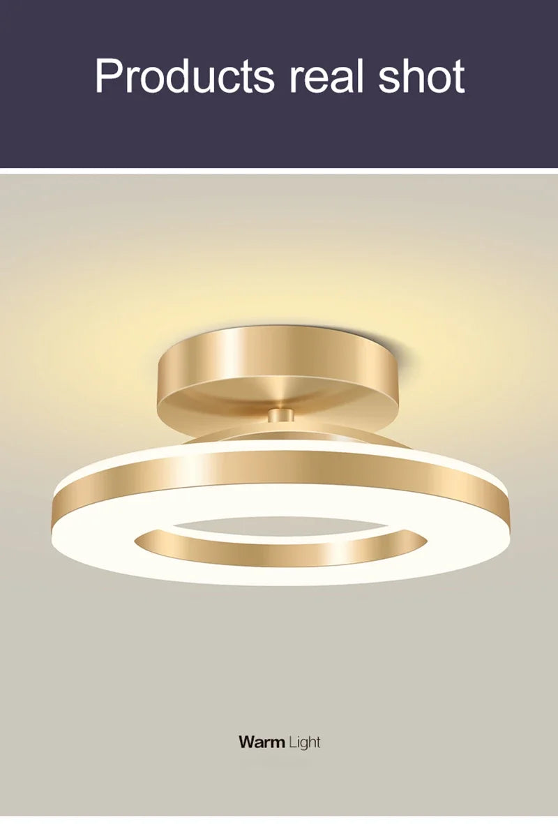 Modern LED Ceiling Lamp