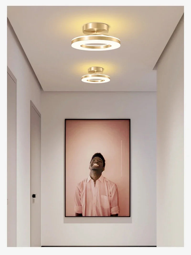 Modern LED Ceiling Lamp