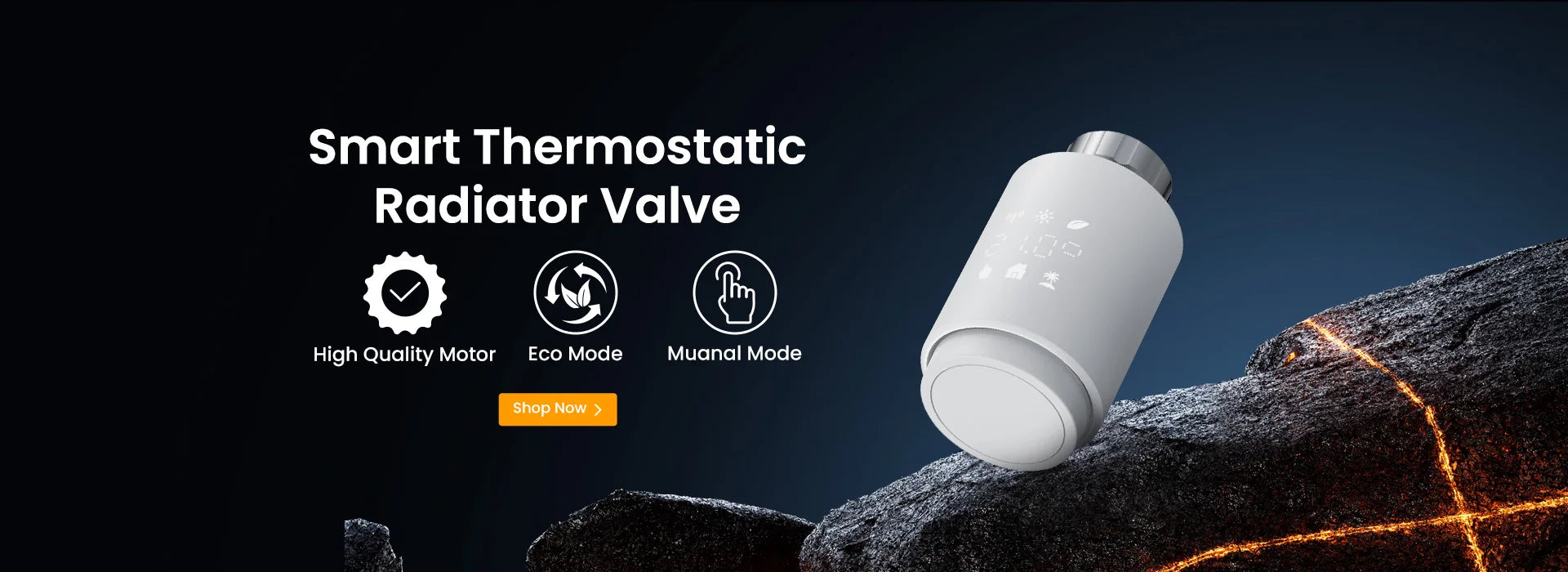 10A Smart Switch Module