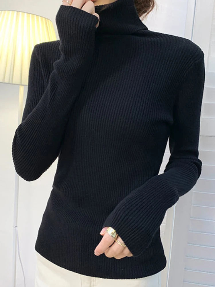 Women’s Fall Turtleneck Sweater