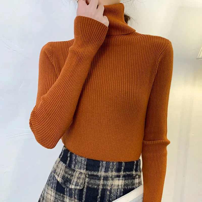 Women’s Fall Turtleneck Sweater