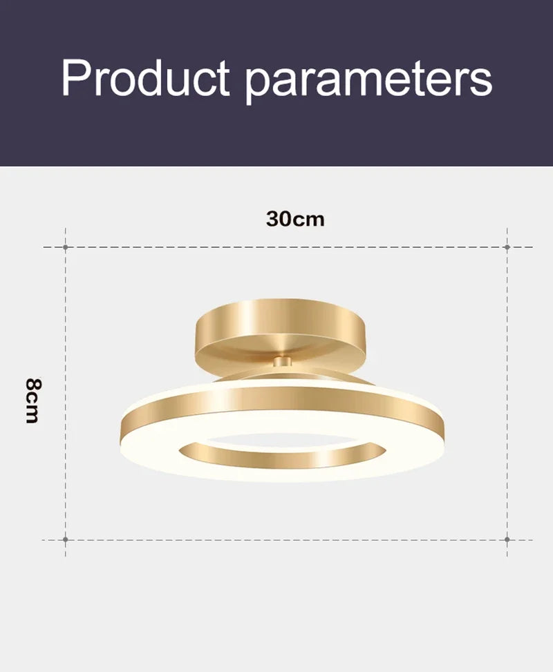 Modern LED Ceiling Lamp