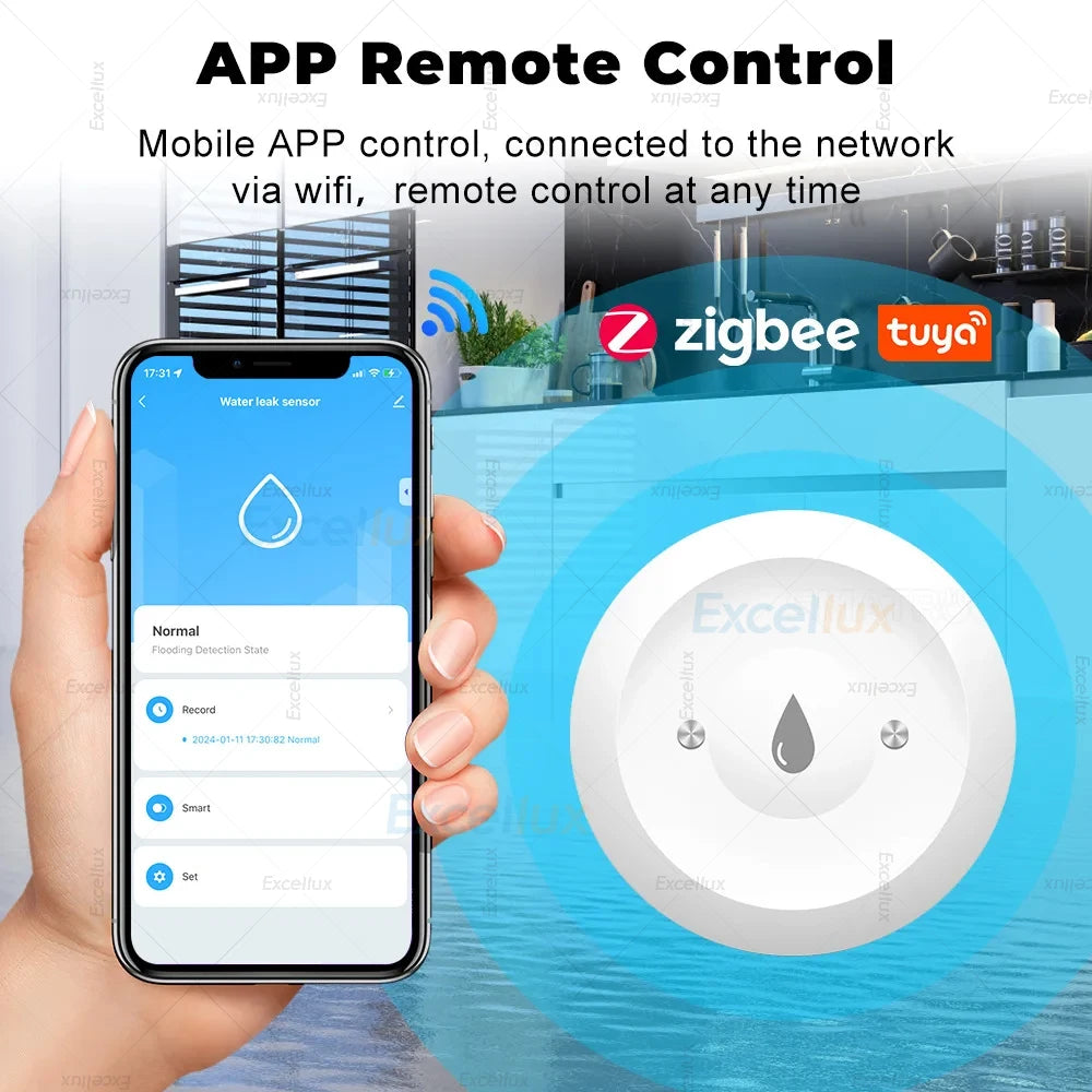 Smart Water Leak Sensor