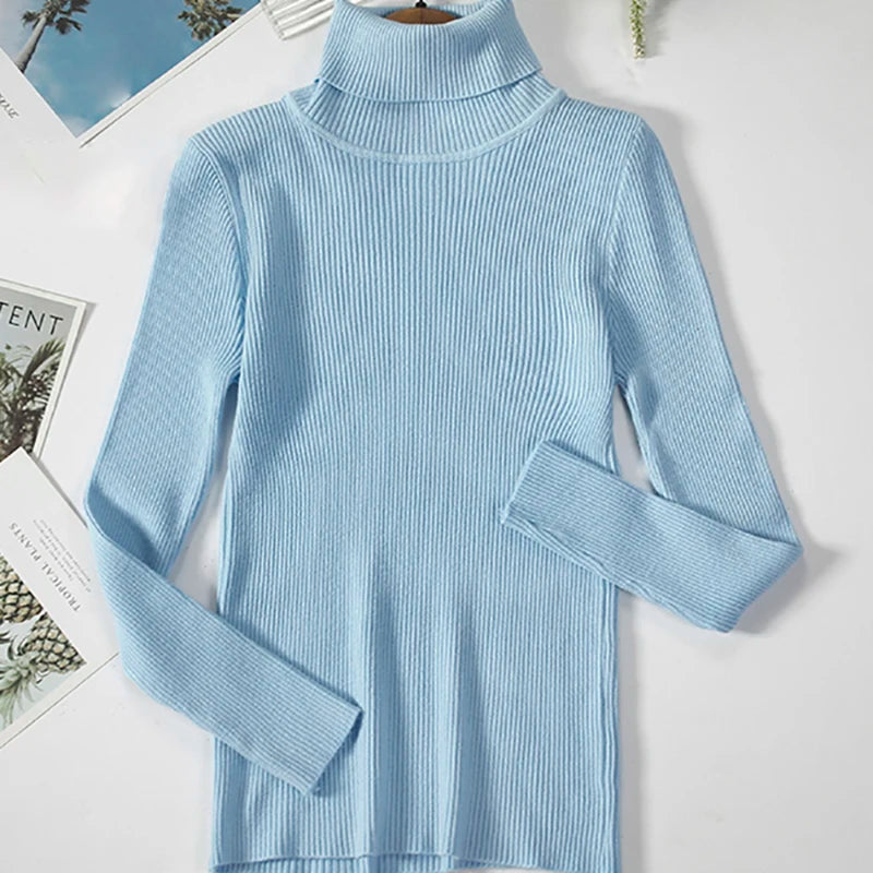 Women’s Fall Turtleneck Sweater