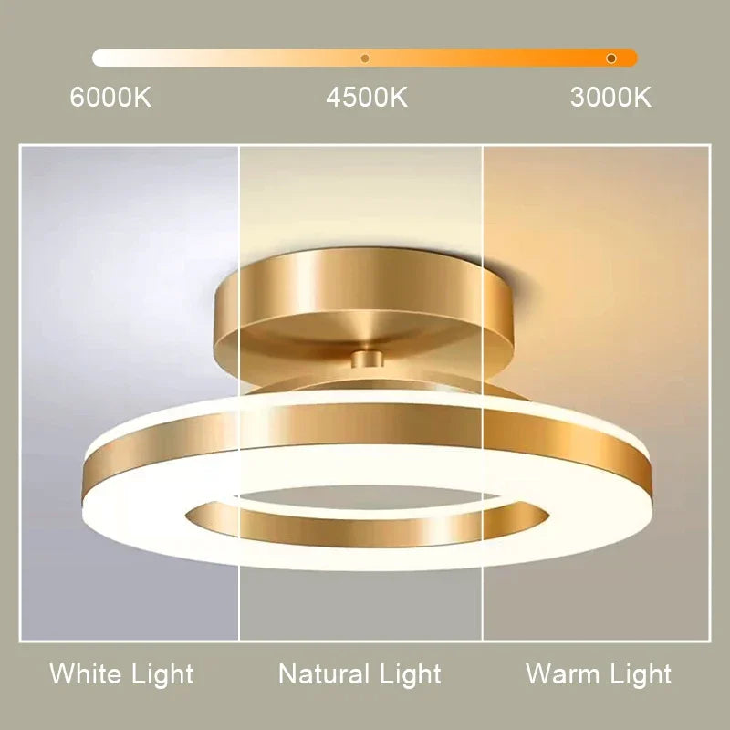 Modern LED Ceiling Lamp