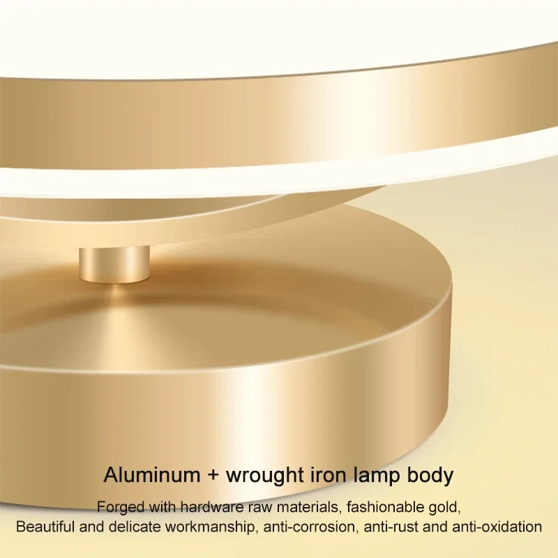 Modern LED Ceiling Lamp