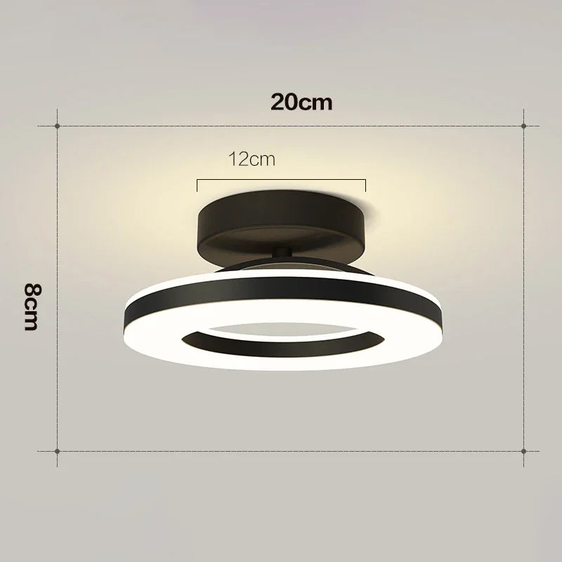 Modern LED Ceiling Lamp