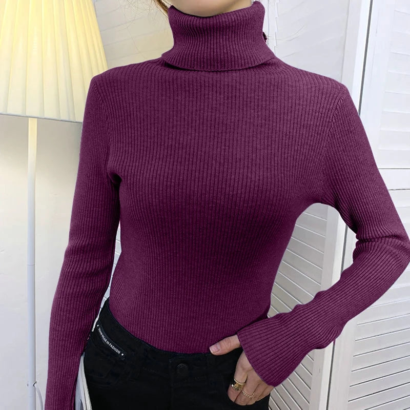 Women’s Fall Turtleneck Sweater