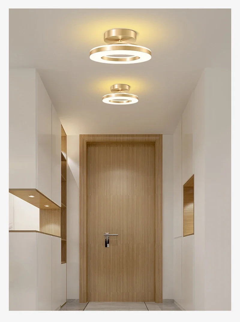 Modern LED Ceiling Lamp
